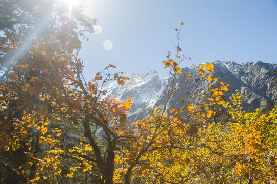 贡嘎雪山