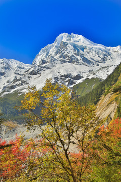 贡嘎雪山