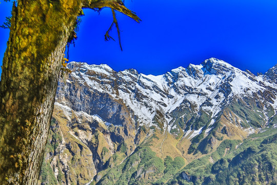 海螺沟贡嘎山