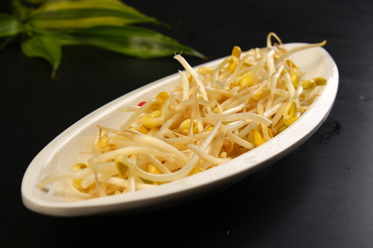 豆芽