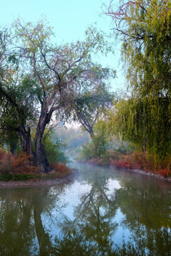 小河晨光