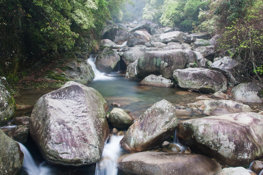 溪水淙淙 青苔