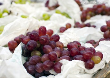葡萄 水果 果蔬 维生素 生活