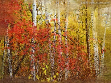 森林之秋 电脑油画