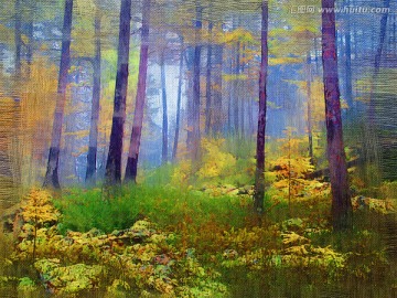 森林之雾 电脑画