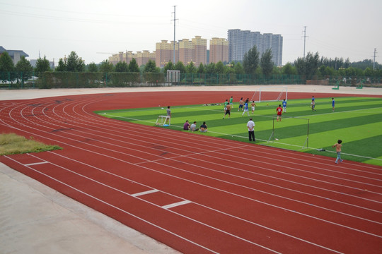 体育馆 球场