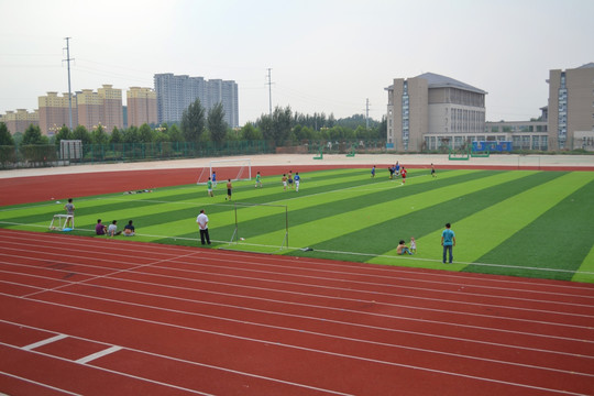 体育馆 球场