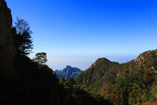 泰山