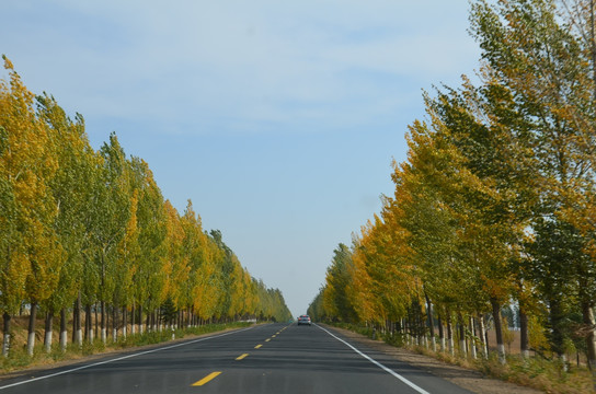 公路