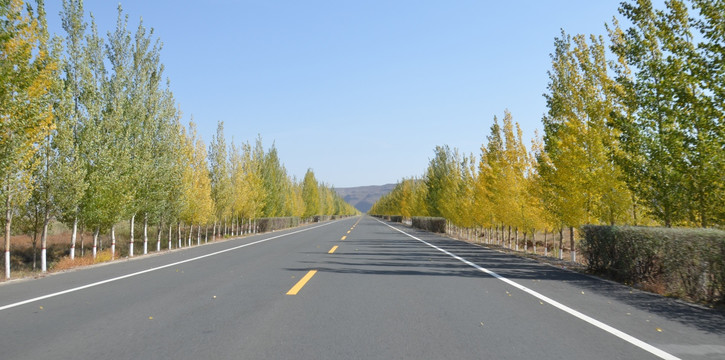 公路