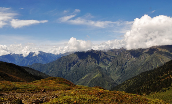 高黎贡山风光