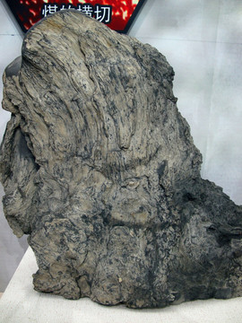 泥岩 侏罗纪