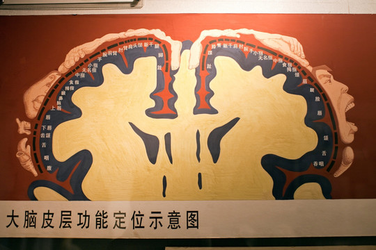 上海自然博物馆 考古 自然科学
