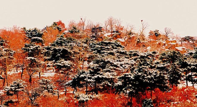 泰山冬日雪景