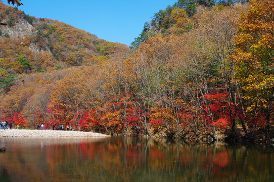 蒲石河风光