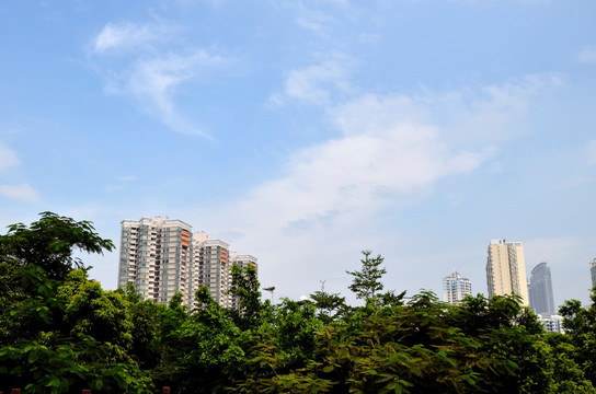 城市之巅