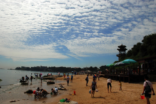 鸽子窝公园 赶海拾贝 天空