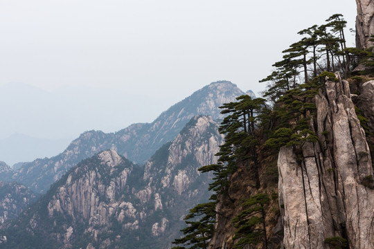 黄山 薄雾 画意 水墨丹青