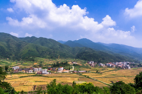 山村