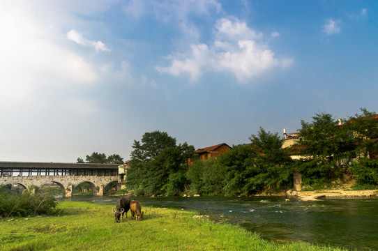 乡村风景