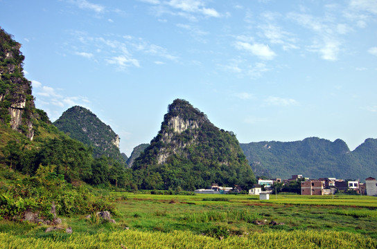 风景