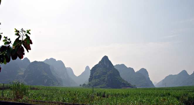 风景