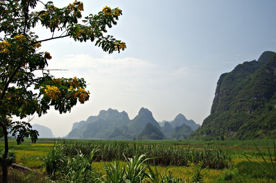 山水 风景