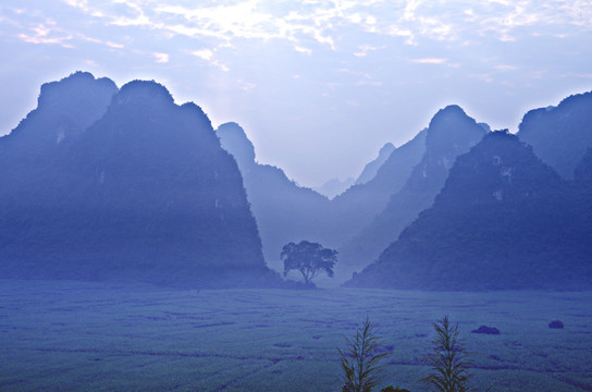 风景