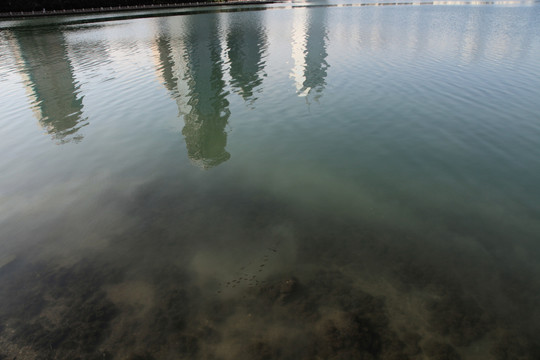 城市高楼湖面倒影