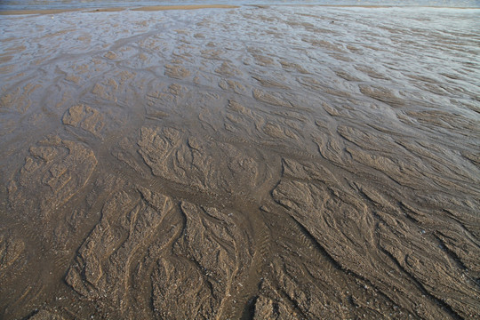 海滨风光