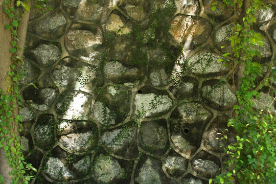 青苔老墙