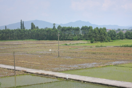 农田耕地