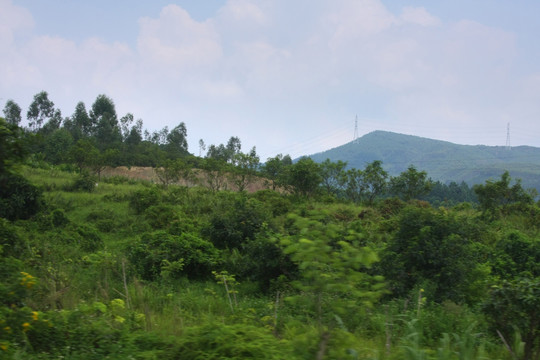 林地