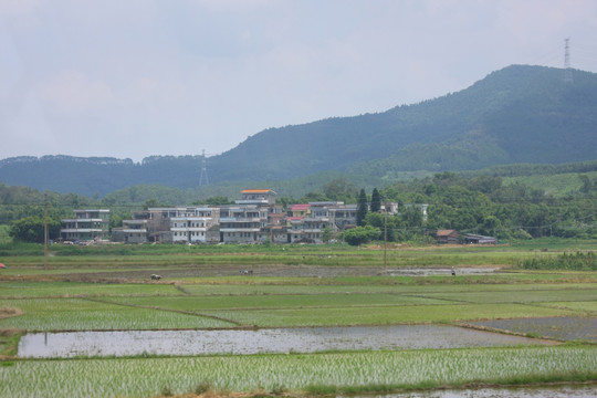 村庄风景