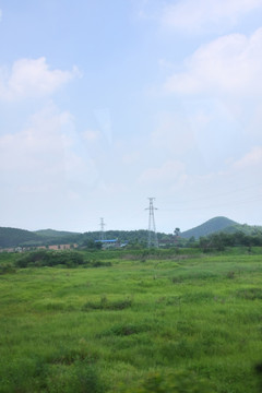 草地