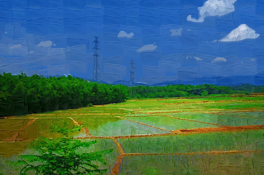稻田风景