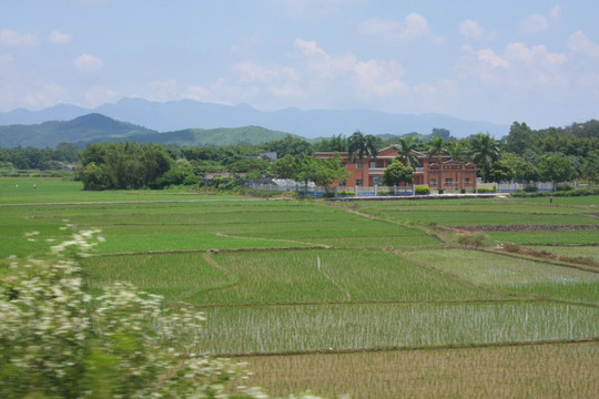 村庄农田