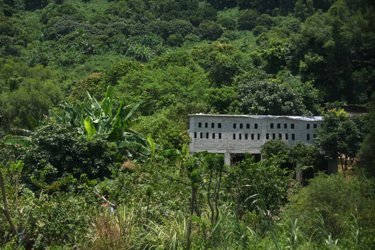 森林住宅