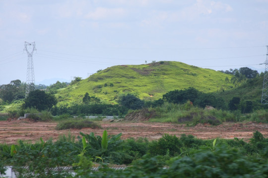 山坡风景