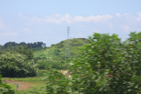 绿色风景