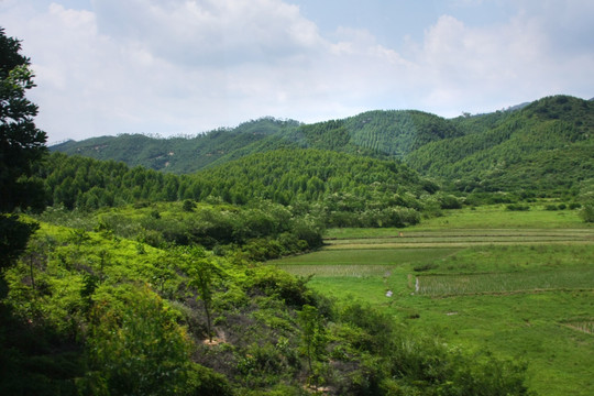 田野风景