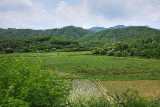 田间风景