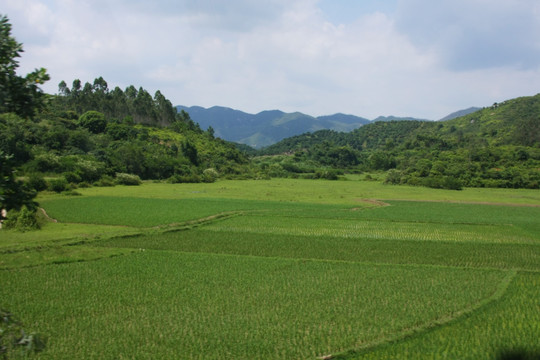 田园风光
