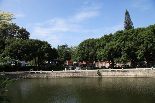 公园湖面绿树