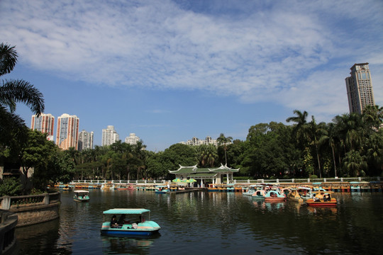 公园湖光景色