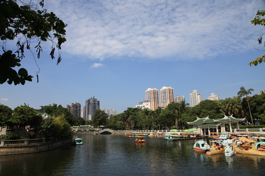 公园湖光景色
