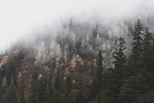 雪山