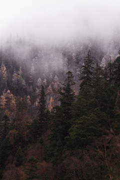 雪山