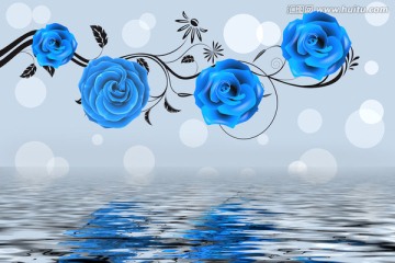 大型壁画写真 蓝玫瑰