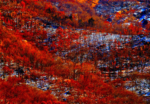 油画风格热烈的大山冬景摄影